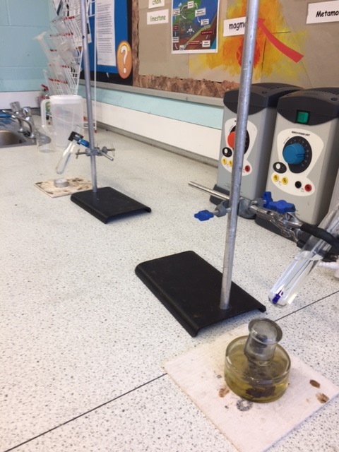 The Rowans AP Academy - Science